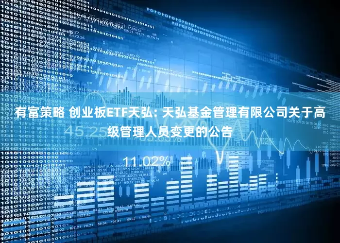 有富策略 创业板ETF天弘: 天弘基金管理有限公司关于高级管理人员变更的公告