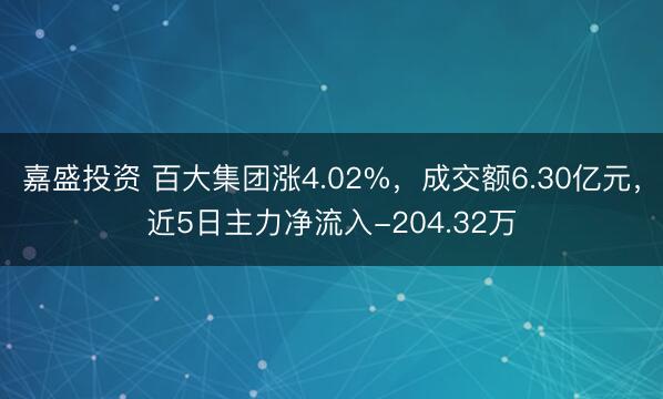 嘉盛投资 百大集团涨4.02%，成交额6.30亿元，近5日主力净流入-204.32万